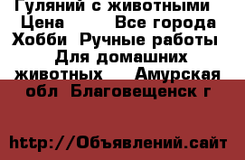 Гуляний с животными › Цена ­ 70 - Все города Хобби. Ручные работы » Для домашних животных   . Амурская обл.,Благовещенск г.